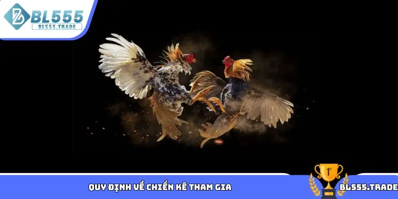 Quy định về chiến kê tham gia